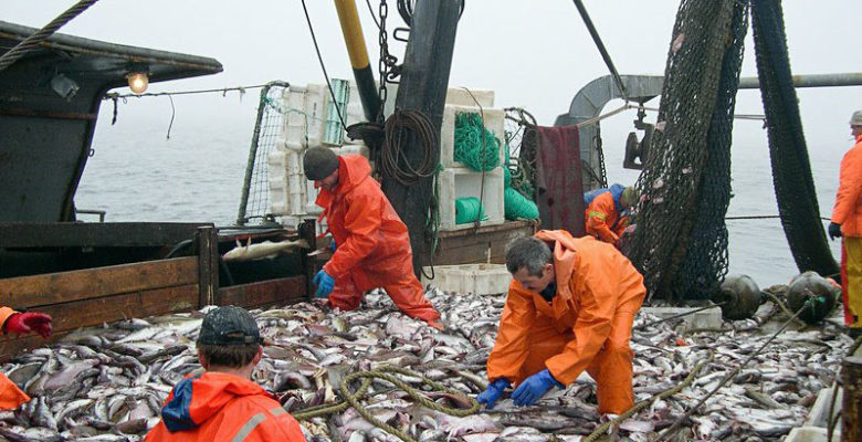Крым может стать одним из самых прибыльных рыболовецких регионов России