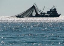 Севастопольская делегация приняла участие в Международном рыбопромышленном форуме