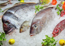 Эксперты оценили новый техрегламент по рыбной продукции в действии