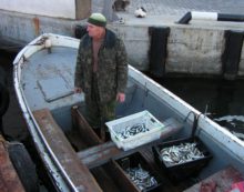 Зимняя путина крымских рыбаков ставит новые рекорды